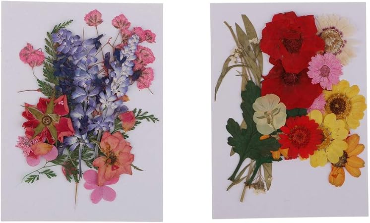 Amazon Co Jp 自然の花や葉 乾燥した花 押し花 アートガラス 工芸品 アクセサリー 2個入り おもちゃ