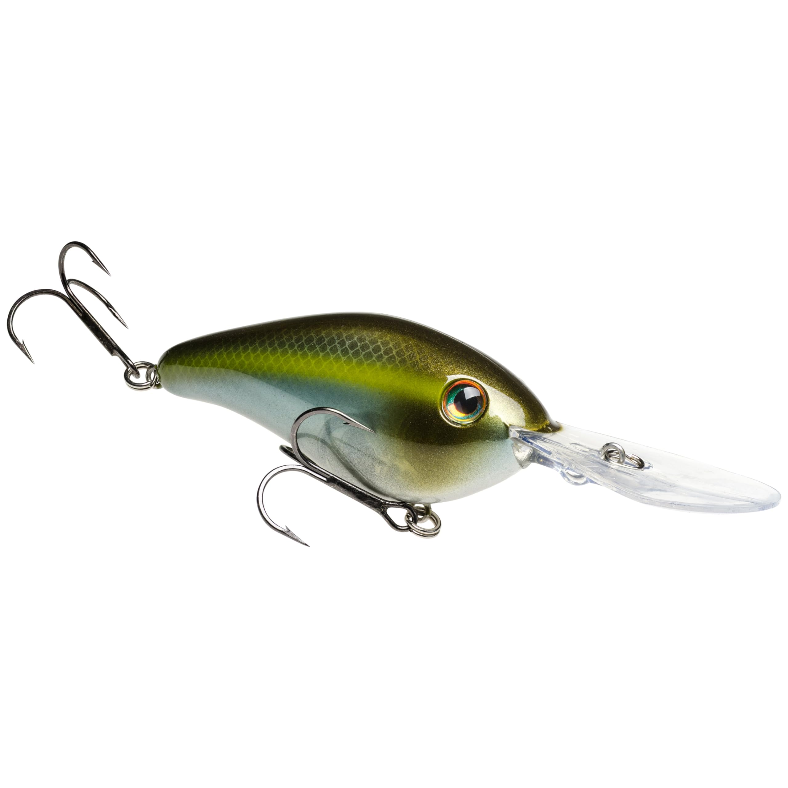 6XD / Summer Sexy Shad