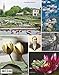 Water Lilies: and Bory Latour-Marliac, the Genius Behind Monet's Water Lilies
