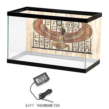 Amazoncom Aquarium Fish Tank Background Poster Egyptian