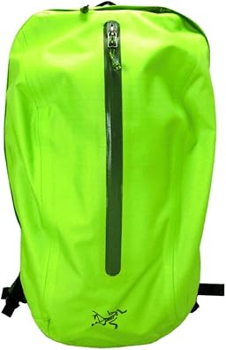 Amazon アークテリクス Arc Teryx リュックサック バックパック Astri 19 アストリ Mantis Green マンティスグリーン 並行輸入品 Arc Teryx アークテリクス タウンリュック ビジネスリュック