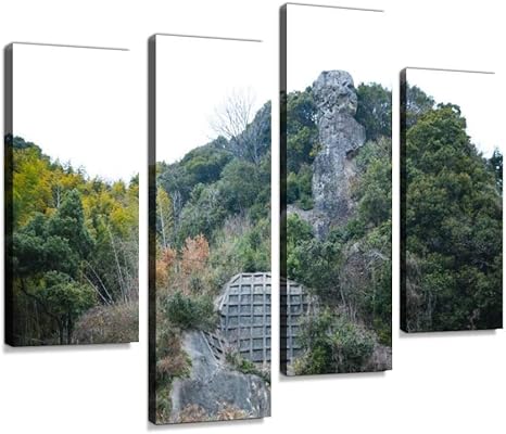 Amazon アートパネル 崖上にそびえ立つ鯖くさらかし岩奇岩 山中 岩 時津町 鯖くさらかし岩 鯖落ちインテリア 絵画 壁掛け ポスター キャンバス 部屋飾り アート 壁キャンバス 壁飾り 壁キャンバス絵画 おしゃれ 北欧 新築飾り お祝い 贈り物 アートフレーム ポスター