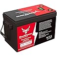 12V 300Ah Small-Volume LiFePO4 Lithium Battery,200A BMS,10000+ Deep Cycle Lithium Iron Phosphate Battery Great for Winter Power Shortage, RV, Marine and Off Grid Applications