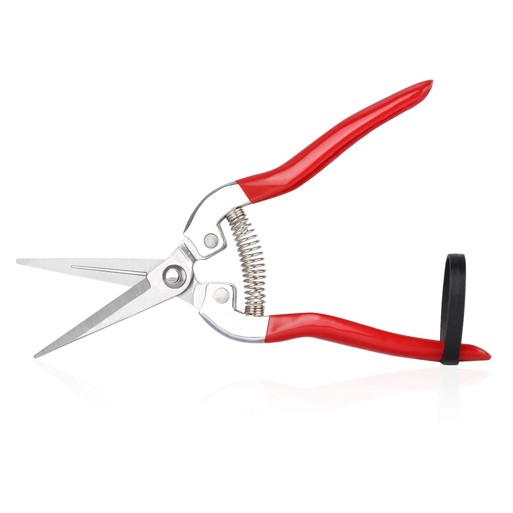 VPMeetx Pruning Shear Garden Scissors - Straight Stainless Steel Blades Pruning Snips - Flower Arranging Plant Trimming Fruit Harvesting Pruner Tool