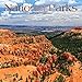 National Parks 2020 7 x 7 Inch Monthly Mini Wall Calendar with Foil Stamped Cover, USA United States of America Scenic Nature by 