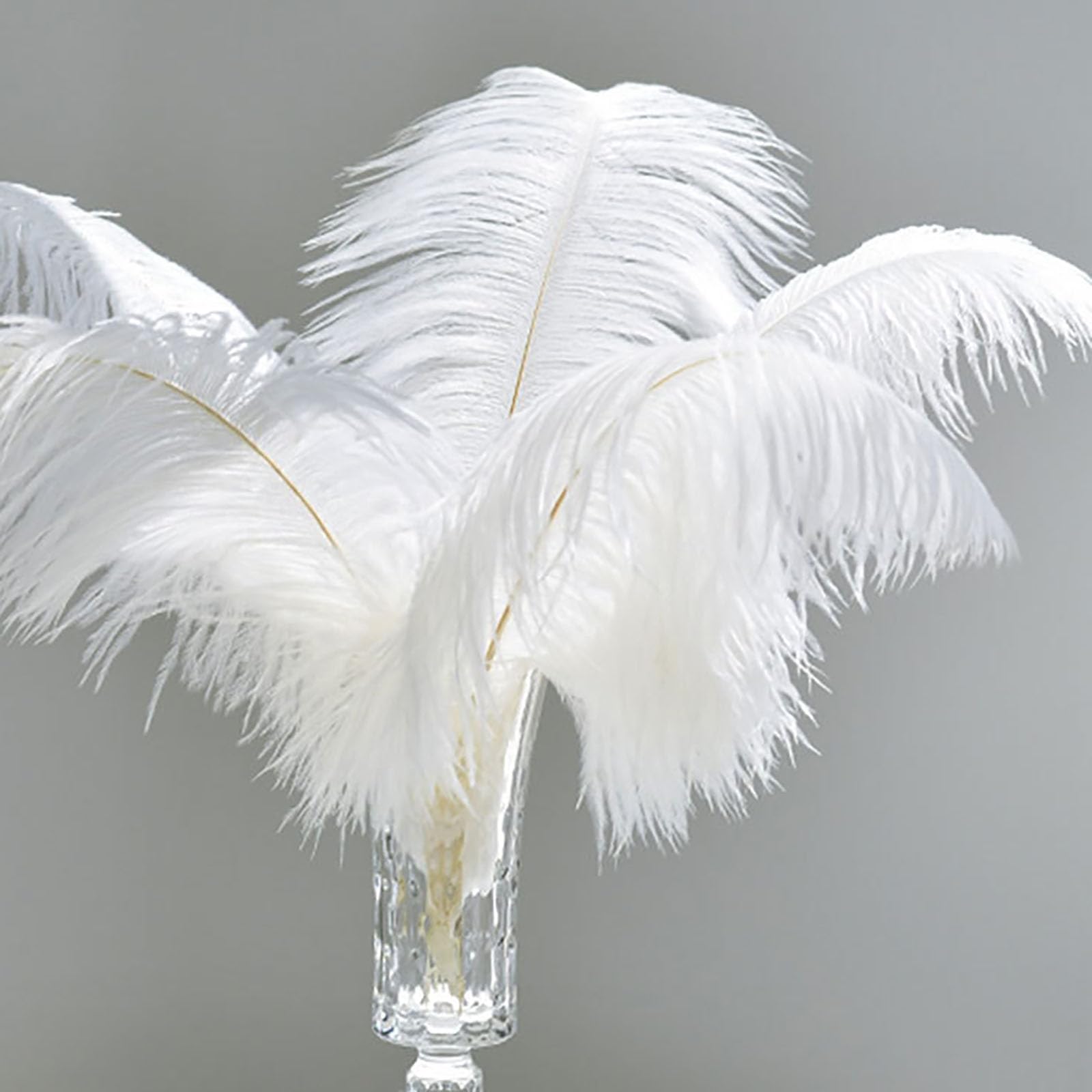Dinghaole10 Pcs 25-30cm,9.84-11.8inch,Ostrich Feathers,White Decorative Feathers,Wedding Centerpieces Home Decoration,Large White Feathers,Christmas Tree Feather Decorations,White Feathers for Crafts