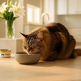 Thrive Cat Chicken Treats 25 g Pack of 4 100% Chicken Breast view 2