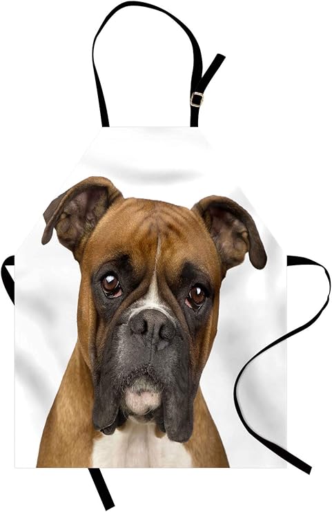 boxer dog neck size