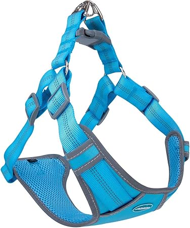 light blue dog harness