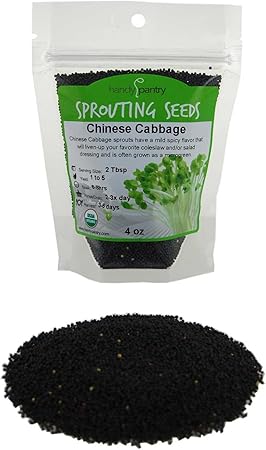 Handy Pantry Chinese Cabbage Sprouting Seed 1 4 Lbs 4 Oz