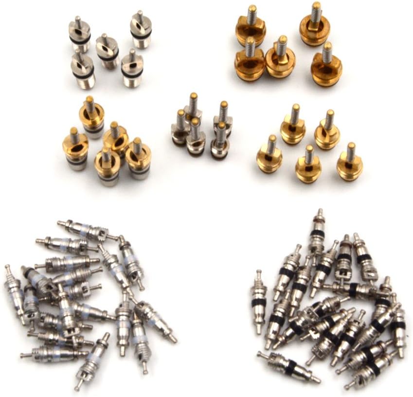 Nikauto 65Pcs Air Conditioned Valve Core and 1Pcs A/C R12 R134a Valve Stem Cores Remover Tool: Automotive
