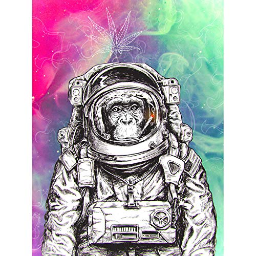 Artery8 Trippy Monkey Ape Astronaut Illustration Weed Marijuana Art Print Canvas Premium Wall Decor Poster Mural
