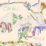 Barefoot in the Head