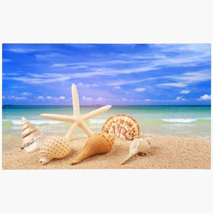 Ahawoso Doormat Door Mat 16x24 Inches Starfish Seashell On Sandy Copy Backdrop Paradise Sky Beach Textures Natural Holiday Holidays Life Machine Washable Non Slip Mats Bathroom Kitchen Decor Area Rug