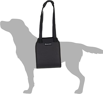 Amazon Animal Campus ハーネス 中型犬 小型犬 大型犬 可愛い リード 介助 介護 補助 老犬 安全帯 ベルト リュック 猫 安全帯 ベルト おもちゃ 首輪 ベッド ゲージ 手洗い マット M スクリーンプロテクター 通販