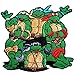Teenage Mutant Ninja Turtles Embroidered Iron on Patch #AF