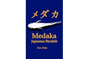Medaka: Japanese Ricefish