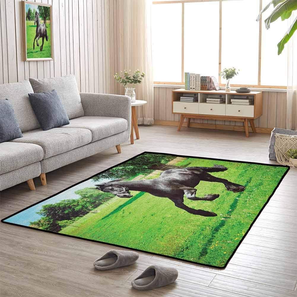 Decor Bedroom Rugs, Anti-Skid Large Area Rugs Soft Comfy Area Rugs for Dining Room Home Bedroom, Horses | Friesian Male Horse Masculine Driving Force of Life Power Inner Strength Symbol - 3'x4'