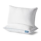 LUCID Premium Shredded Memory Foam Pillow