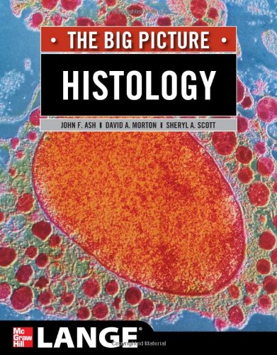 HISTOLOGY: THE BIG PICTURE