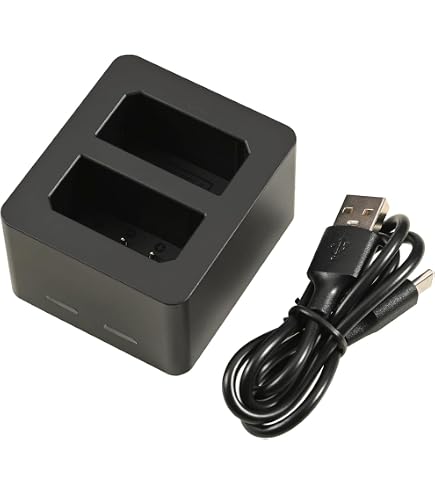Amazon.com : USB Dual Travel Charger for Leica BP-SCL5 Batteries