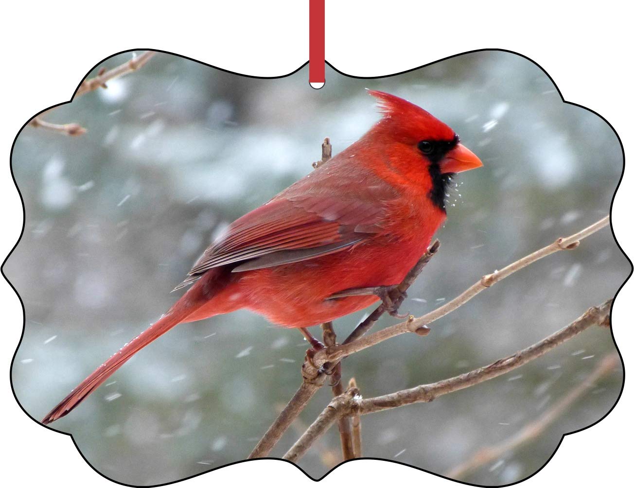 Best Cardinal Birds Decorations Living Room