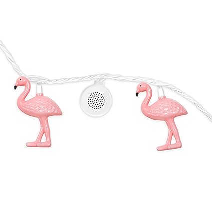 bright tunes speaker lights