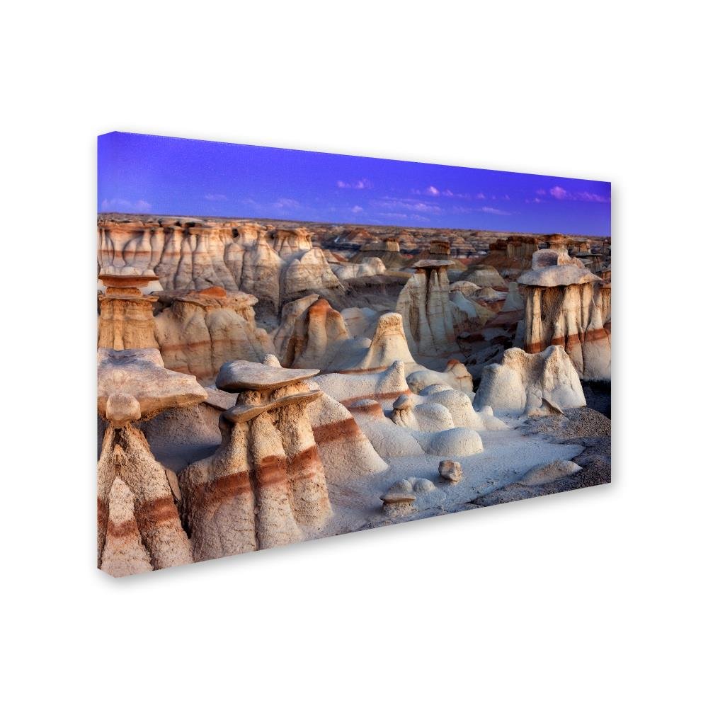 Trademark Marca Fine Art Bisti Badlands decoración de la Pared ...