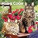 Maine Coon Cats 2020 Calendar