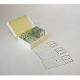 Prepared Slide, Plant Mitosis, Classpack of 15 Sides