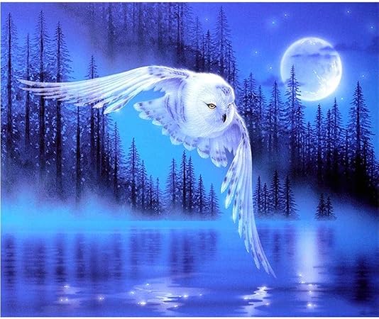 Amazon ジグソーパズル子供のための大人のための6000ピース ジグソーパズル 白いフクロウ 6000ピースジグソーパズル ピースが完全に合うことを意味します ジグソーパズル おもちゃ