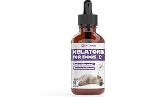 IVITAMINS Melatonin for Dogs | Dog Melatonin | Melatonin for Dogs Sleep | Sleep Aid for Dogs | Dog Sleep Aid | Dog Calming | Calming for Dogs | Dog Calming Treats | Dog Anxiety Relief | (1)