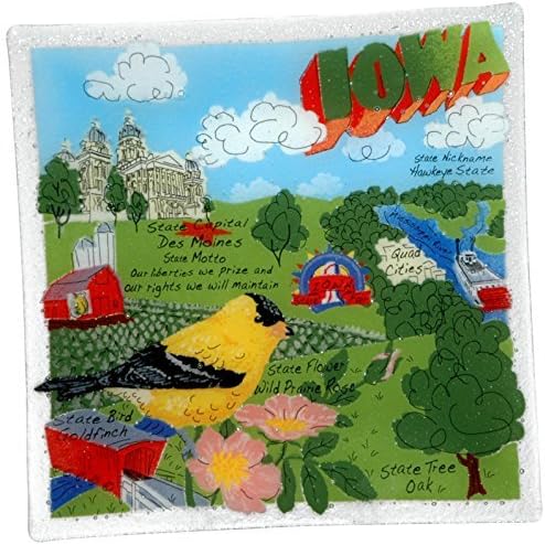Peggy Karr Handcrafted Art Glass Square Iowa Plate, 10-Inch, Multicolor by Peggy Karr