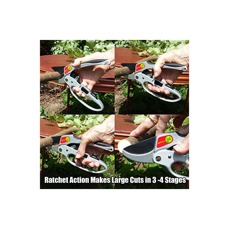 Secateurs, Ratchet Anvil Style Shears, Made For Weak Hands But Strong