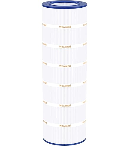 Amazon.com : Wowreed Pool Filter Compatible with C1200, cx1200re