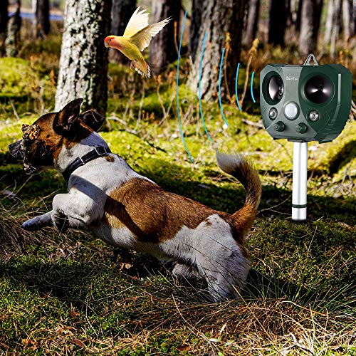 image for BamTyo Ultrasonic Pest Repeller, Solar Powered Pest Control Spider Rep