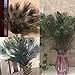 Fashionclub 100pcs Christmas Decor Natural Peacock Tail Eyes Feathers 8