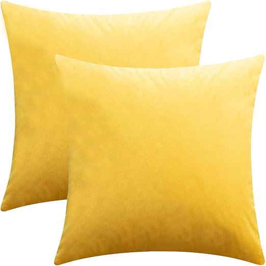 Amazon Com Dezene Throw Pillow Covers 2 Pack Super Soft Velvet