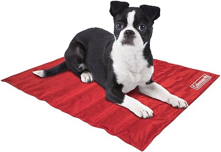 small pet mat
