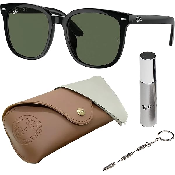 Ray-Ban RB4401D Sunglasses Bundle: RB 4401D 601/87 Black