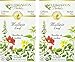 Celebration Herbals Organic Mullein Leaf Tea Caffeine Free - 2 Pack (48 Bags in Total)