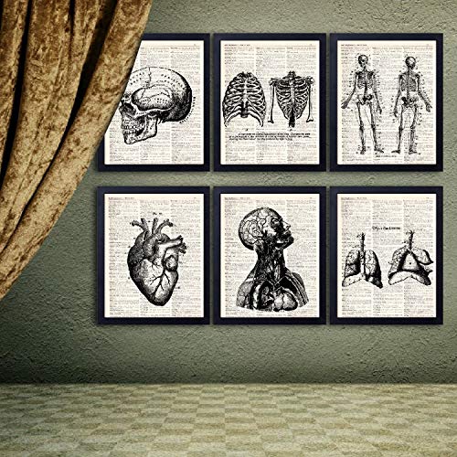 Anatomical Medical Art Vintage Book Art Print Set of 6, Unframed 8x10 Inch Human Skeleton Patent Picture