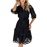 Women's Summer Hollow Out Lace Mini Dress Lantern Sleeve Lapel Button Ruffle Casual Beach Party Dresses