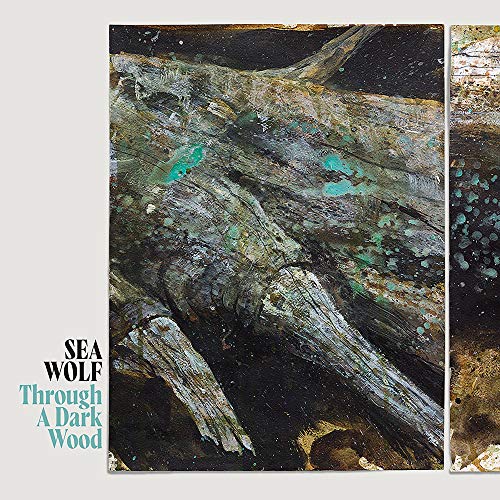 Album art for Through A Dark Wood by SEA WOLF