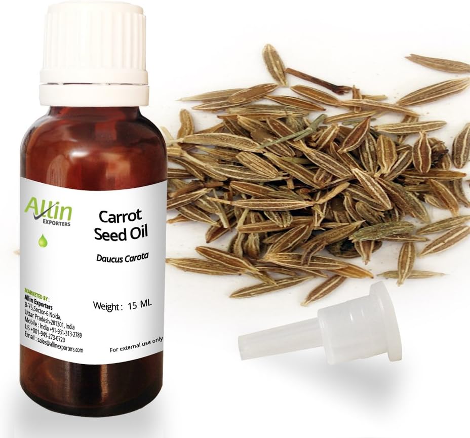 Allin Exporters Carrot Seed Oil 15 Ml 100% Pure, Natural,Undiluted & Moisturizer Ultimate Choice For Aromatherapy, Massage, & Aroma Diffuser