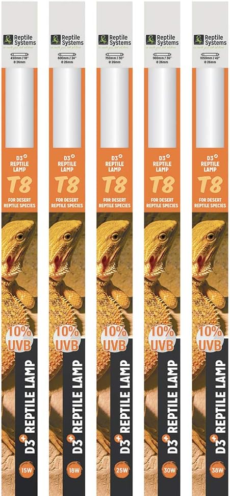 vivarium lighting fixtures