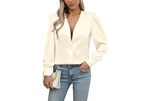 DYLISEA Womens Business Casual Tops Long Sleeve Button Down Shirts V Neck Satin Blouses for Women