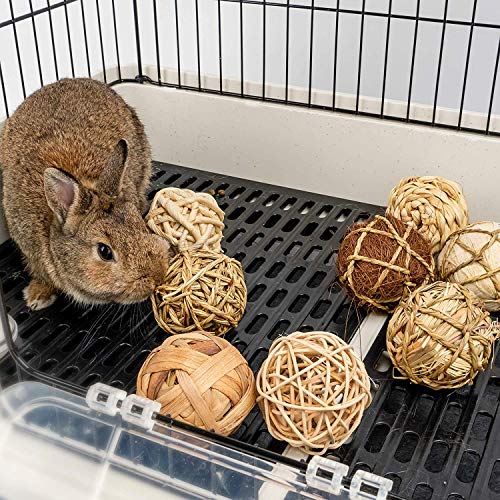 andwe Small Animals Play & Activity Balls Rolling Chew Toys for Rabbits