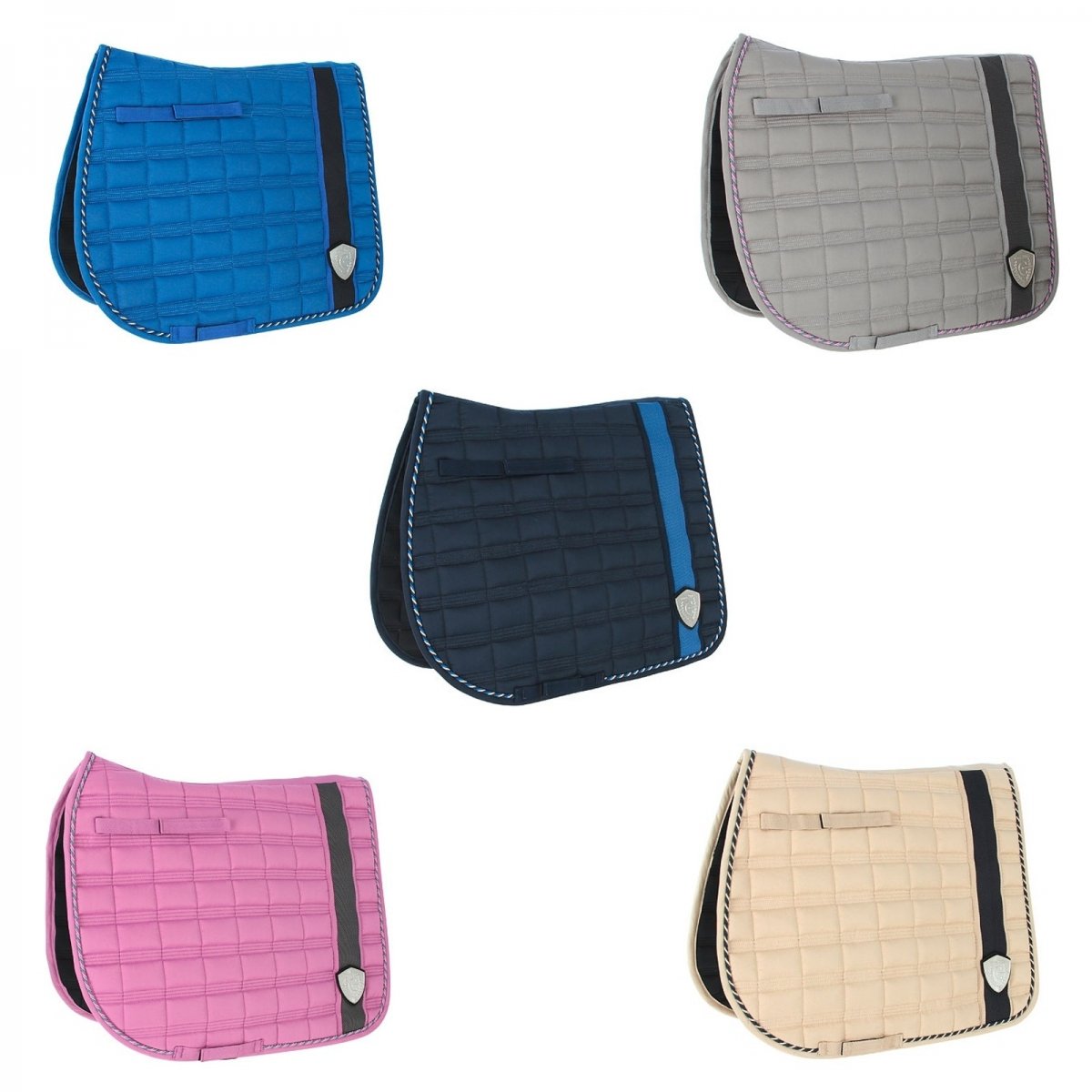 Covalliero Tampa Caparison