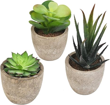 cenben 3pcs plantas artificiales suculentas plantas artificiales decorativas exterior de suculentas con macetas plantas pequenas decorativas naturales